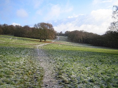 How to get to Chorleywood Common with public transport- About the place