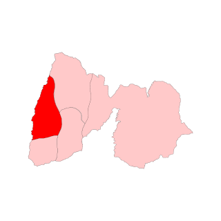 <span class="mw-page-title-main">Chozuba Assembly constituency</span> Legislative Assembly constituency in Nagaland State, India