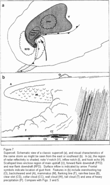 A schematic of classic supercell features. See also: LP and HP supercells Classic supercell thunderstorm.gif