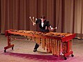Classical Marimba player.jpg