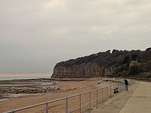 Cliff End at Pett Level showing the beach in the foreground, The ancient forest and the end of the sandstone cliffs in the distance.