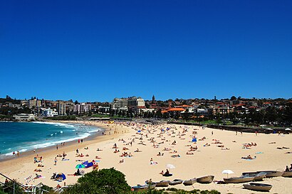 How to get to Coogee with public transport- About the place