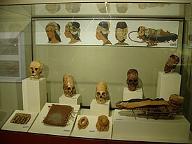 Cráneos Museo Regional de Ica, Perú 02.JPG