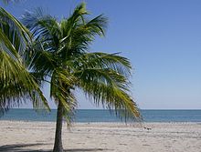 The beach at Crandon Park in Key Biscayne in February 2008 Crandon Park beach, FL.jpg