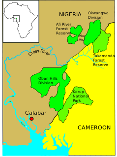 The Cross River National Park with the Okwangwo Sector in the north and the Oban Sector in the south.
