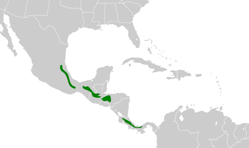 File:Cyanolyca cucullata map.svg