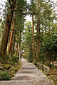 大雄山 最乗寺