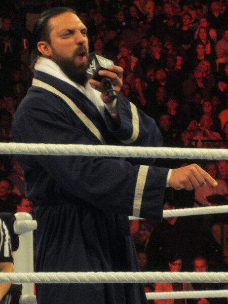 File:Damien Sandow Feb 2013.jpg