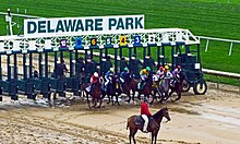 A race begins on a rainy fall day at Delaware Park. Delaware Park.jpg