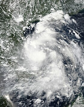 imagem ilustrativa de artigo Tempestade tropical Dianmu (2021)