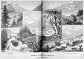 Die Gartenlaube (1887) b 480.jpg Ansichten von St. Moritz und Umgebung. Originalzeichnung von R. Schietzold.
