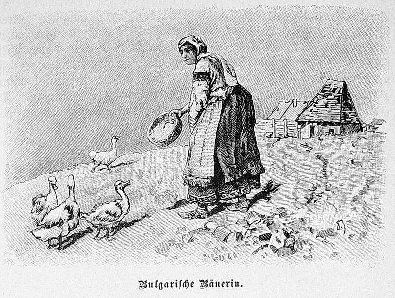 File:Die Gartenlaube (1887) b 592 2.jpg