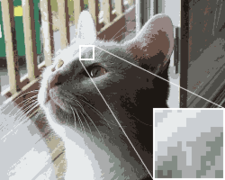 Figure 5. Depth is reduced to a 16-color optimized palette in this image, with no dithering. Colors appear muted, and color banding is pronounced.