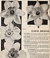 Dreer quality seeds plants bulbs (1939) (20997665465).jpg
