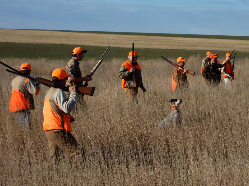 File:Driven pheasant hunt, South Dakota, 2007.png