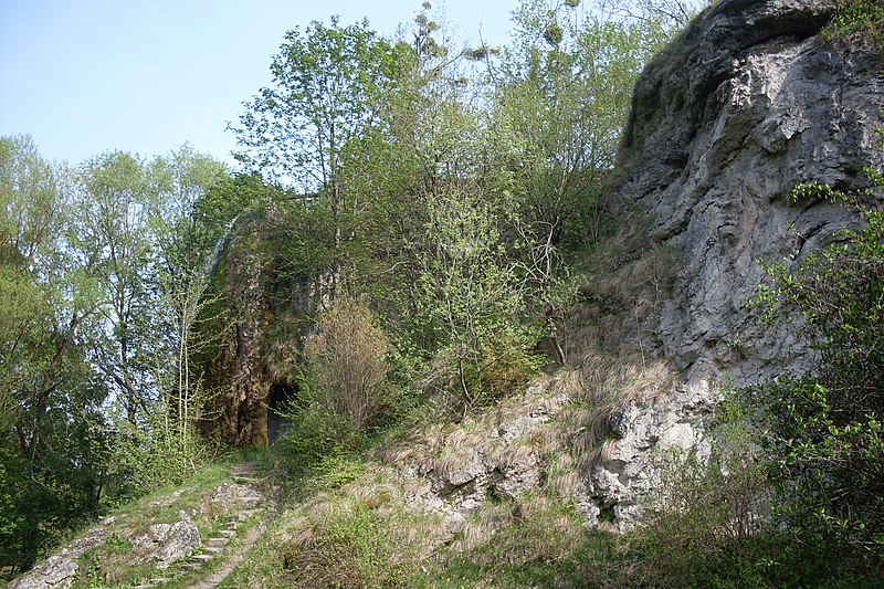 File:Dunajevets'kyi district, Khmel'nyts'ka oblast, Ukraine - panoramio (4).jpg