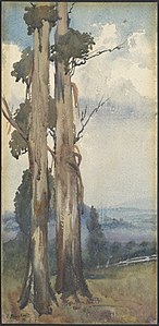 Elsie Barlow - Watercolours of country and seaside 4.jpg