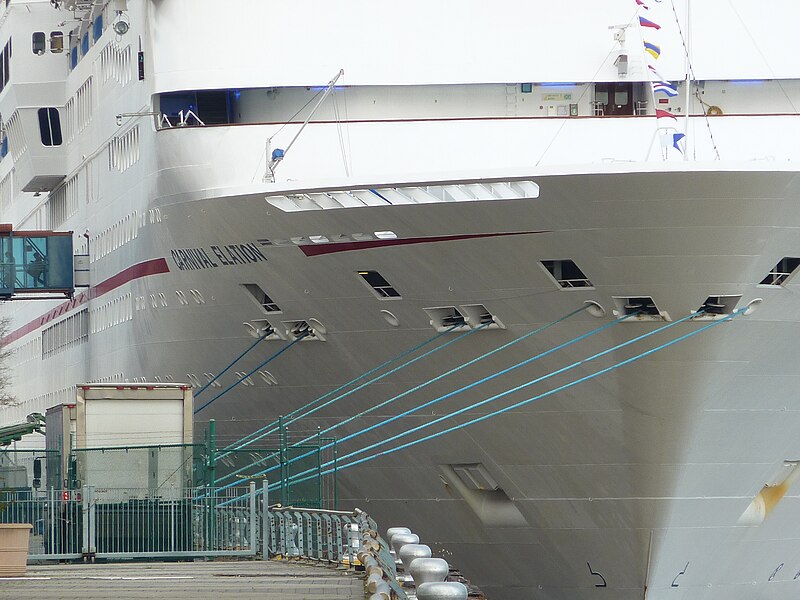 File:Erato St Terminal - Carnival Elation - P1110538.JPG