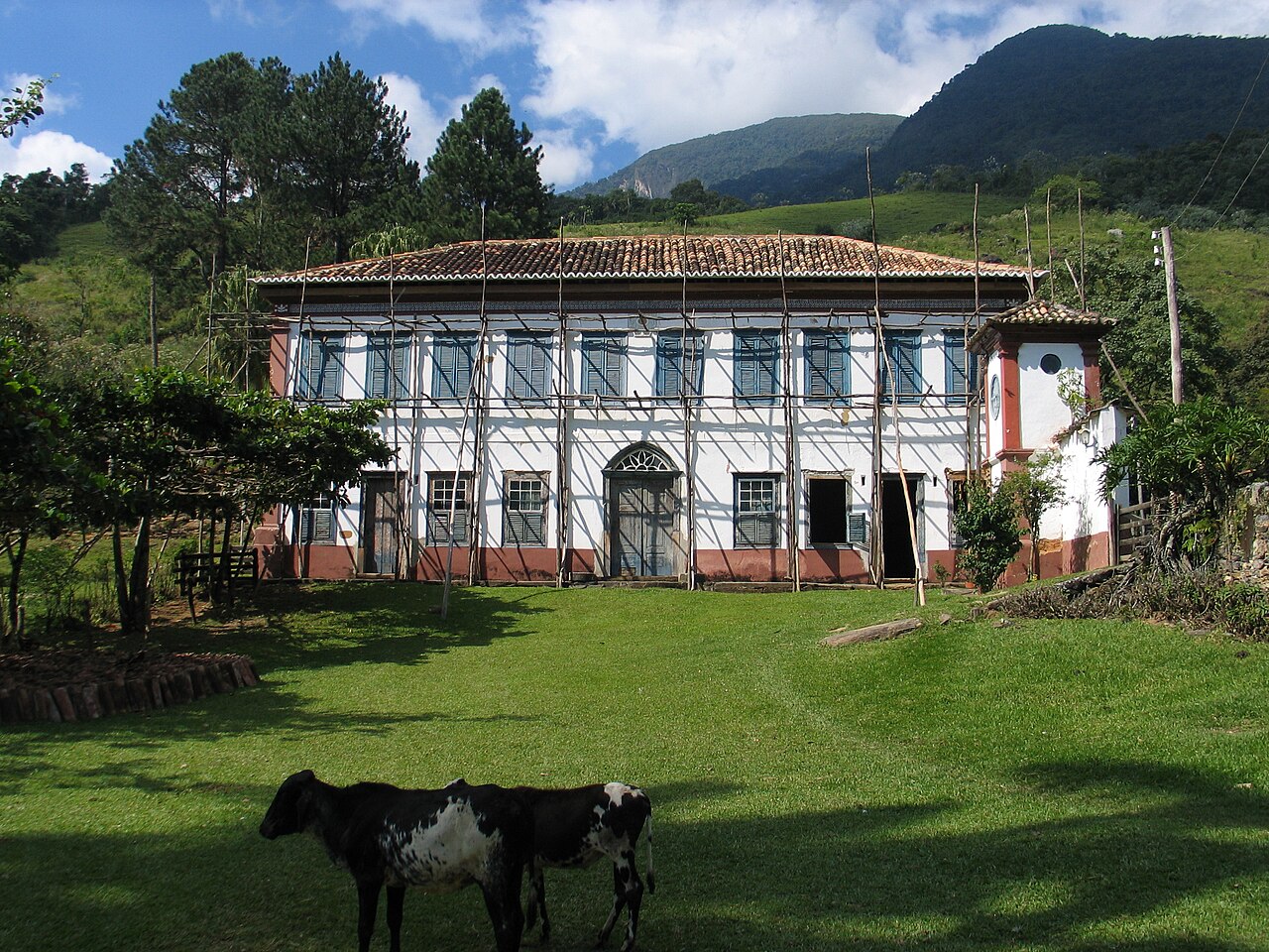 PDF) Patrimônio natural dos Butiazais da Fazenda São Miguel