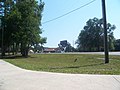 Looking north along County Road 464, towards US 27