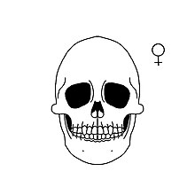 A black and white drawing of a female skull.