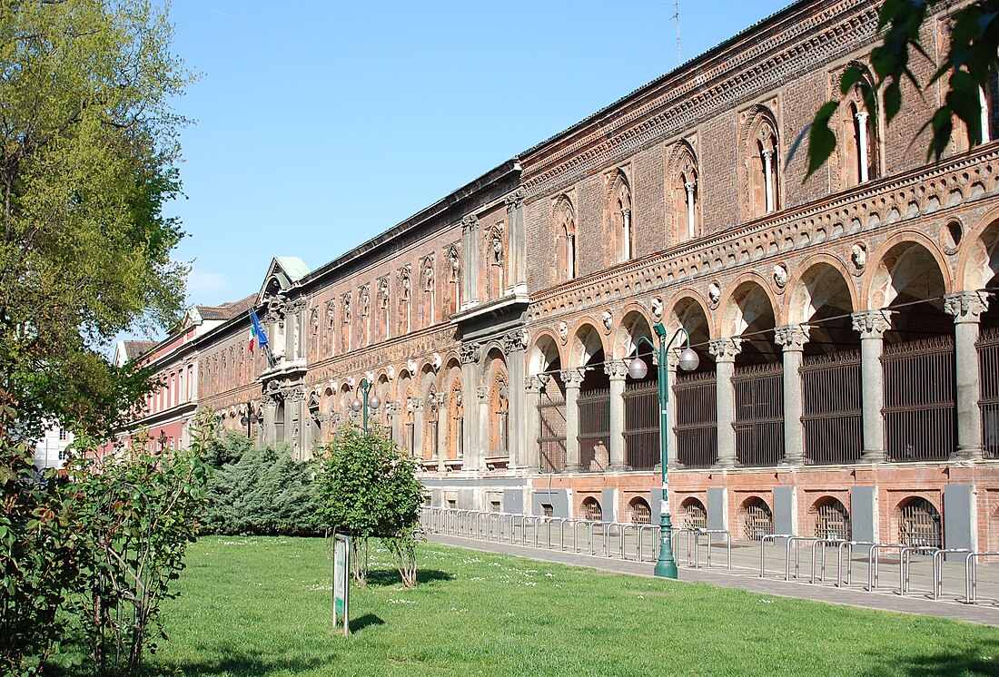 Milano universitetas