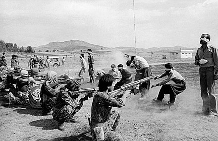 Pulitzer-winning photograph: "Firing Squad in Iran" (1979)