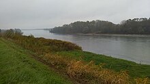 Il fiume Po a Castelmassa