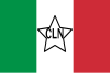 Flag of Italian Committee of National Liberation.svg