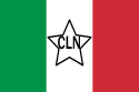 Repubblica di Montefiorino – Bandiera