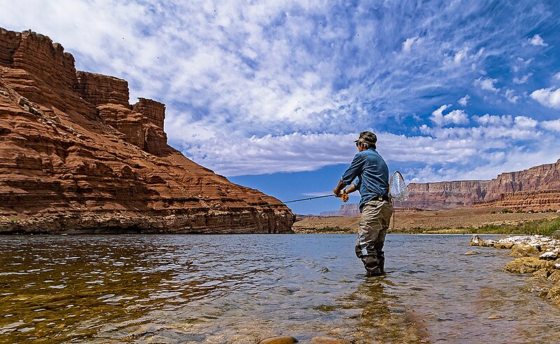File:Fly Fisher Casting On The Colorado River.jpg