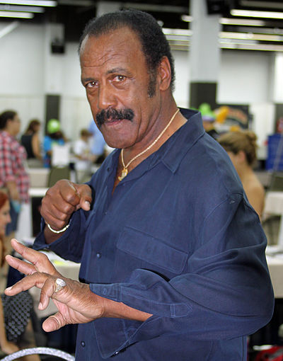 Fred Williamson Net Worth, Biography, Age and more