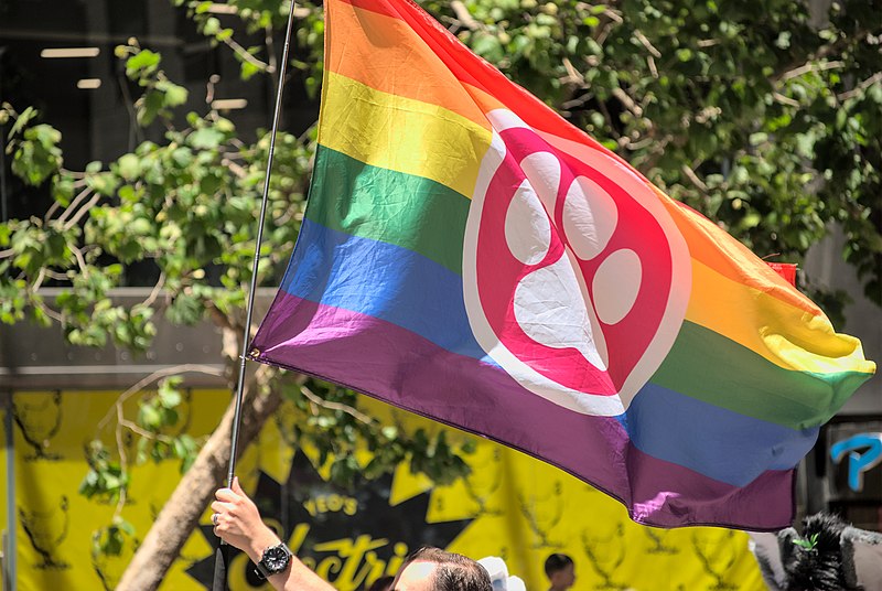 File:Furry pride flag seen with the NorCal Furries at the 2022 San Francisco Pride Parade (52177402296).jpg