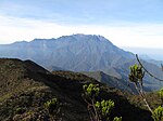 Vignette pour Pelouses alpines d'altitude du Kinabalu