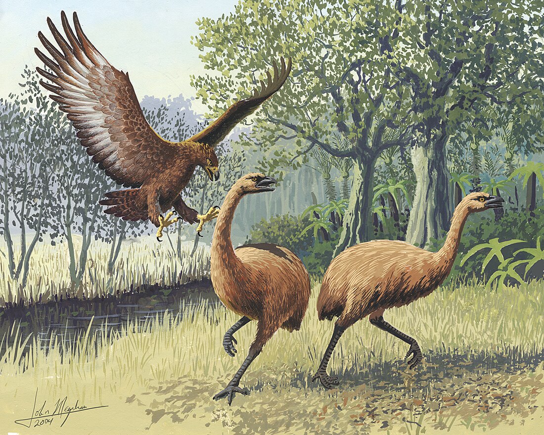 List of Late Quaternary prehistoric bird species