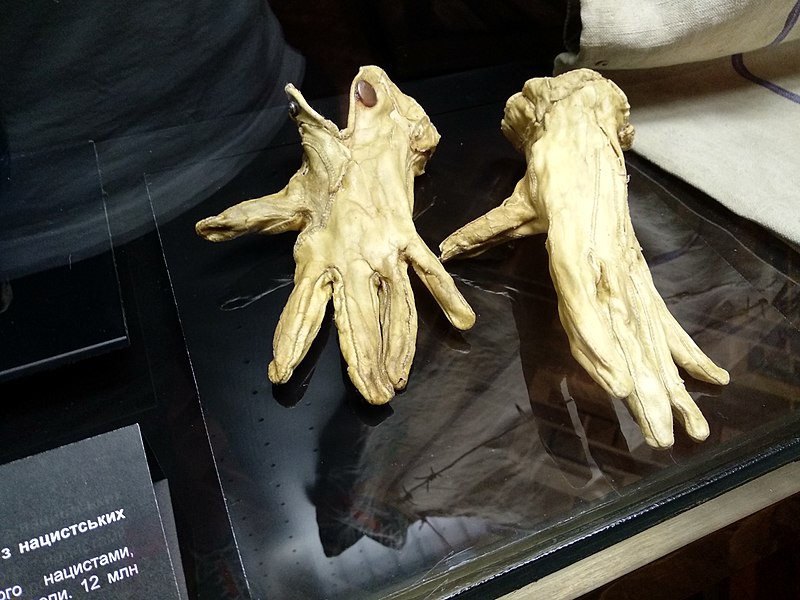 File:Gloves made from human skin.jpg