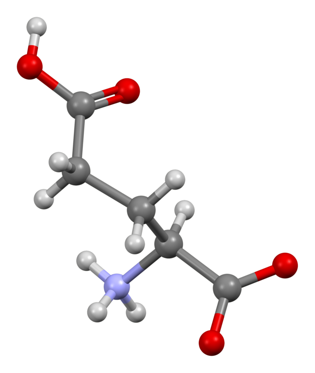 Acide glutamique — Wikipédia