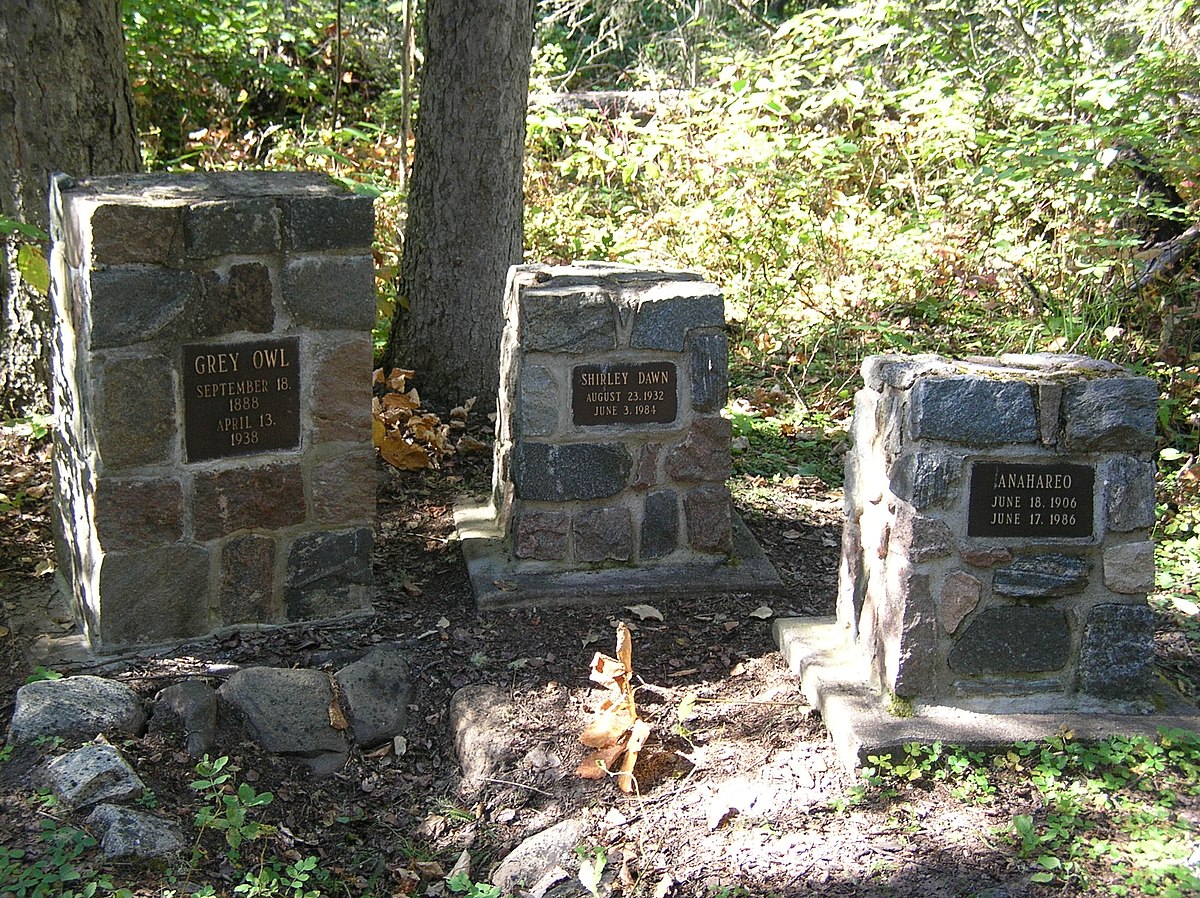 Gone grave. Сова на могиле. Анахарео. Могила сёра.