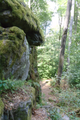 English: Natural monument "Teufelskanzel" in Grebenhain Ilbeshausen-Hochwaldhausen, Hesse, Germany This is a picture of the protected area listed at WDPA under the ID 555520798