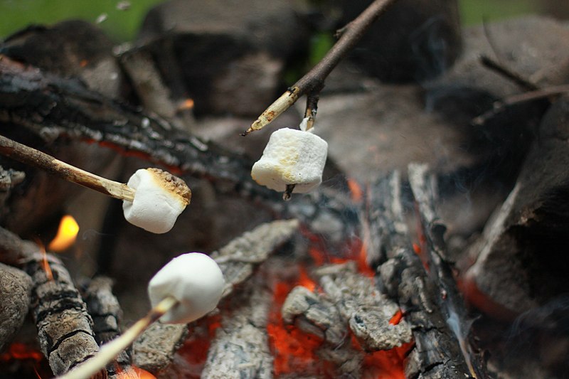 File:Grillning av marshmallows - panoramio.jpg