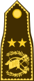 Guatemala-army-OF-7.svg
