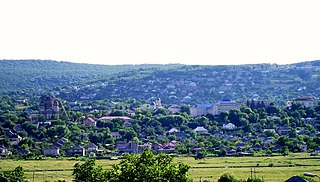 Hîncești, Moldova - panoramio (4 cropped).jpg