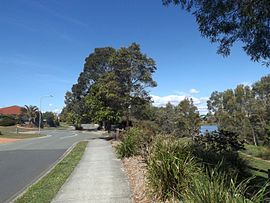 Halpine Lake and Topaz Drive at Mango Hill, Queensland.jpg