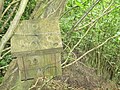 Birdbox on tree in Harper's Grove