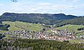 Hausen am Tann und Plettenberg (Zollernalbkreis).jpg