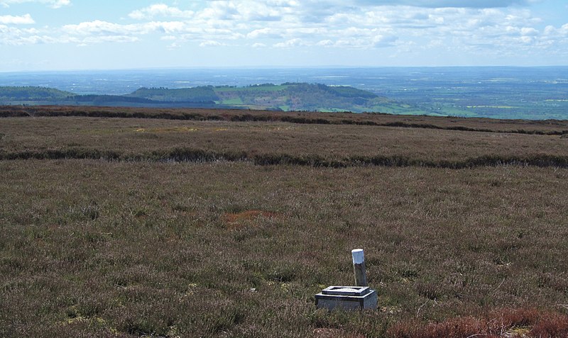 File:Heather moorland at Dodd End - geograph.org.uk - 4451968.jpg