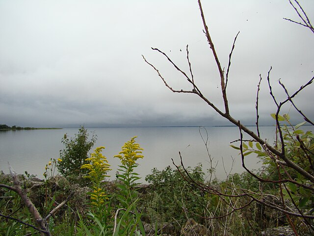 Betula Lake - Wikipedia