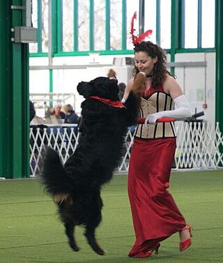 <span class="mw-page-title-main">Heelwork to music</span> Dog sport