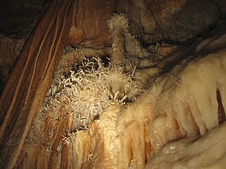 Helictites at Jenolan Caves in Australia Helictites at Jenolan Caves.jpg