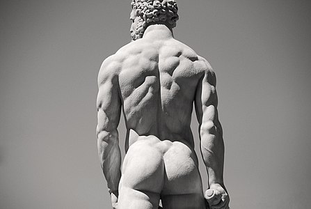 En aquesta estàtua realitzada per Baccio Bandinelli, les característiques musculars i anatòmiques de la qual són exagerades, es veuen clarament els clotets de Venus. Estàtua d'Hèrcules i Cacus, Florència.